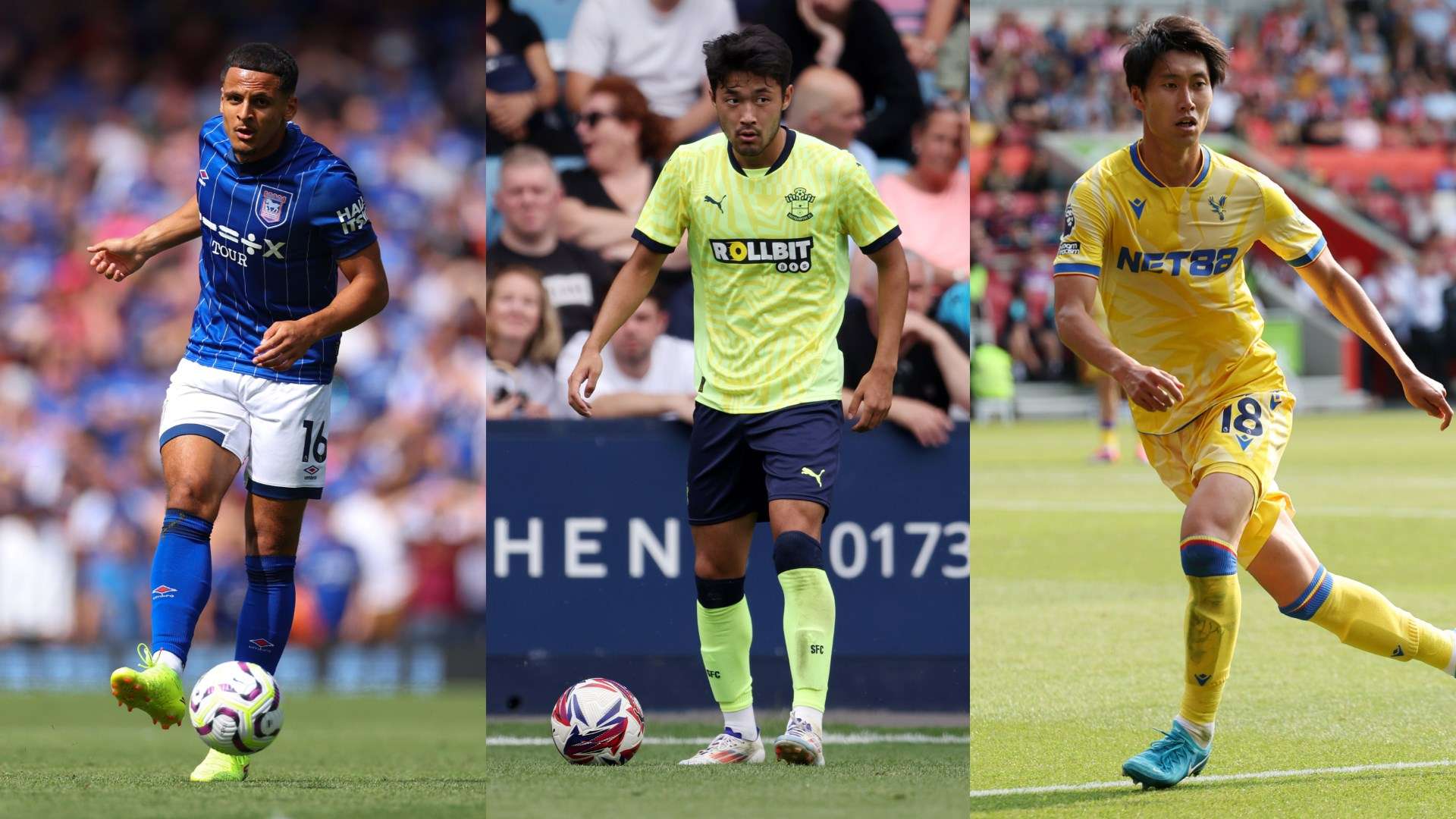 球球迷的眼 球球迷的眼