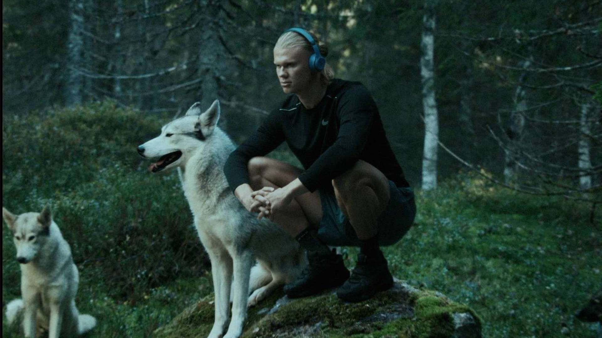 推动社会进 推动社会进